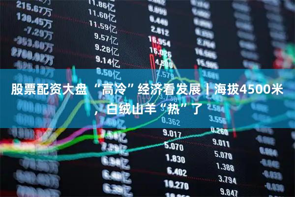 股票配资大盘 “高冷”经济看发展丨海拔4500米，白绒山羊“热”了