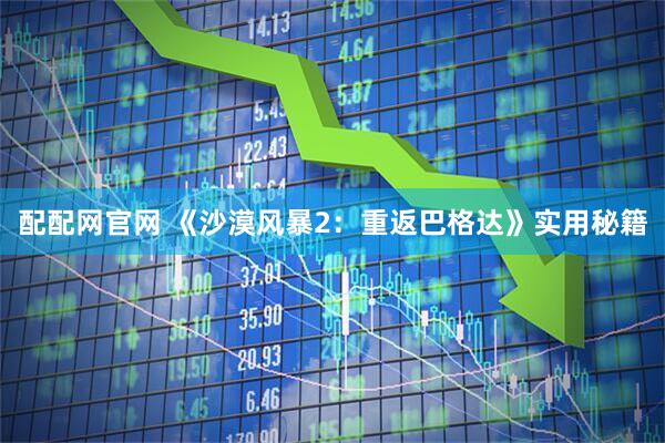 配配网官网 《沙漠风暴2：重返巴格达》实用秘籍